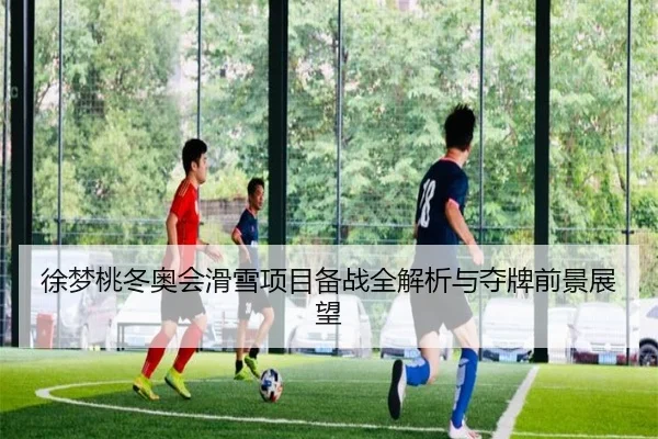 徐梦桃冬奥会滑雪项目备战全解析与夺牌前景展望